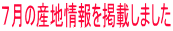 V̎Ynfڂ܂